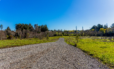 atributo_3